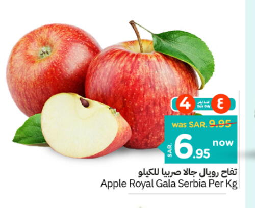  Apples  in Nesto in KSA, Saudi Arabia, Saudi - Riyadh