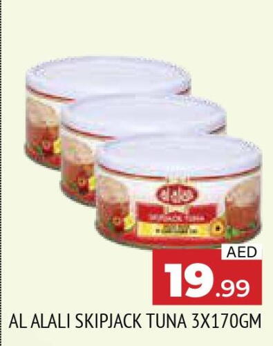 AL ALALI Tuna - Canned  in المدينة in الإمارات العربية المتحدة , الامارات - الشارقة / عجمان