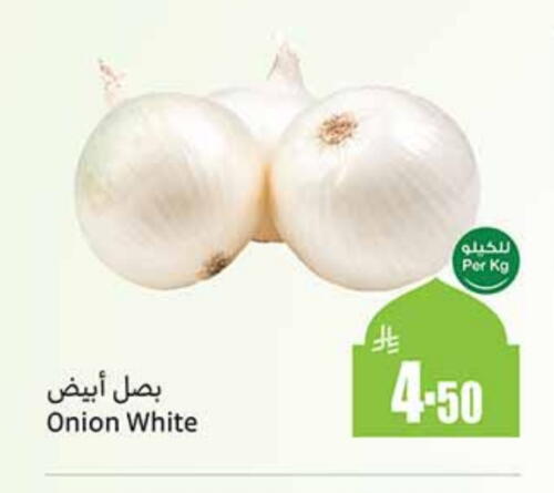 White Onion available at Othaim Markets in KSA, Saudi Arabia, Saudi - Az Zulfi