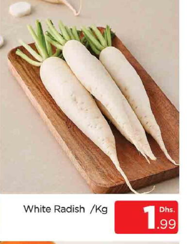 Radish available at AL MADINA (Dubai) in UAE - Dubai