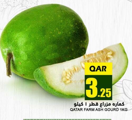  Gourd  in قصر الأغذية هايبرماركت in قطر - الدوحة