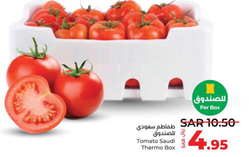  Tomato  in لولو هايبرماركت in مملكة العربية السعودية, السعودية, سعودية - ينبع