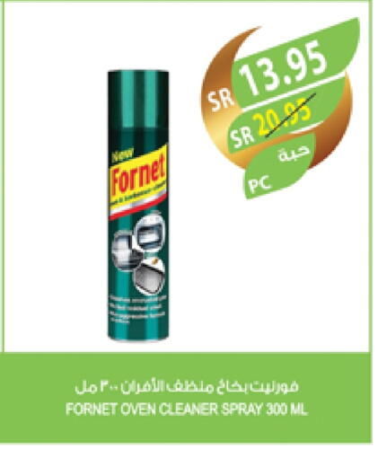 General Cleaner available at Farm  in KSA, Saudi Arabia, Saudi - Riyadh