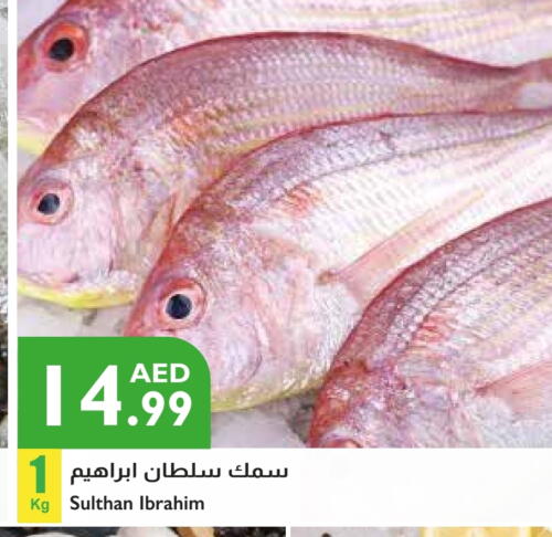 available at إسطنبول سوبرماركت in الإمارات العربية المتحدة , الامارات - الشارقة / عجمان