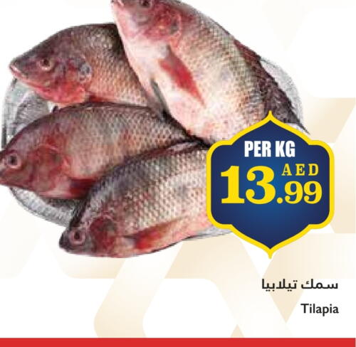 available at تروليز سوبرماركت in الإمارات العربية المتحدة , الامارات - الشارقة / عجمان