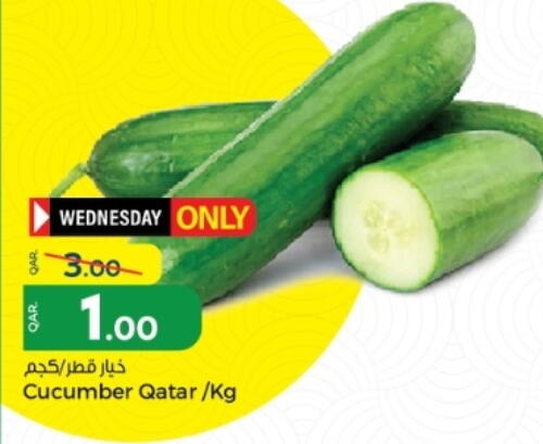 Cucumber