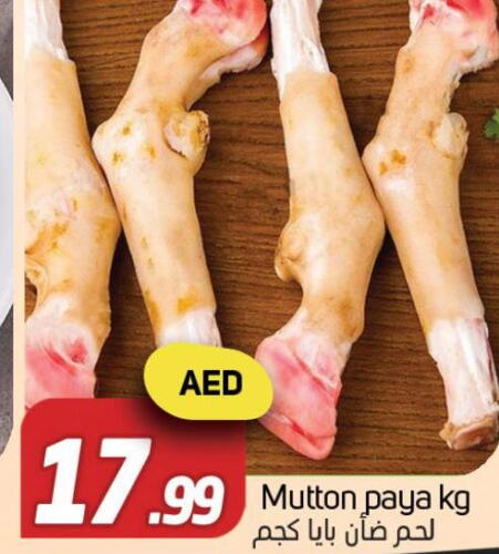  Mutton / Lamb  in سوق المبارك هايبرماركت in الإمارات العربية المتحدة , الامارات - الشارقة / عجمان