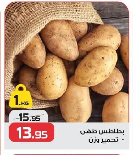 بطاطا available at زهران ماركت in Egypt - القاهرة