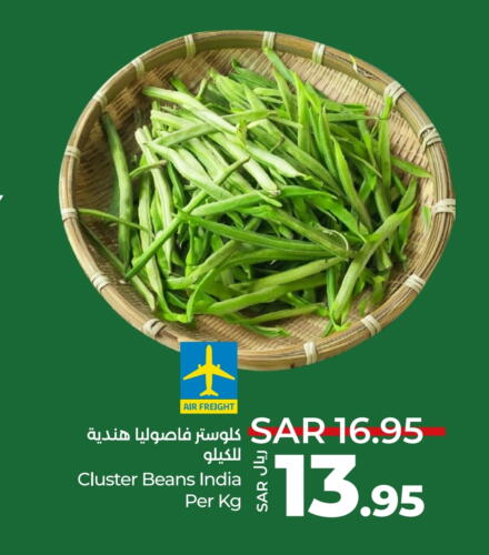 Beans from India available at LULU Hypermarket in KSA, Saudi Arabia, Saudi - Tabuk