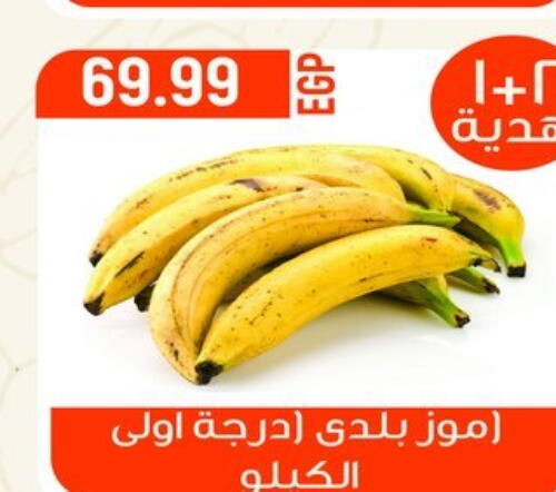  Banana  in El mhallawy Sons in Egypt - Cairo