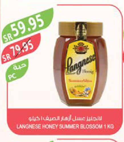  Honey  in Farm  in KSA, Saudi Arabia, Saudi - Qatif