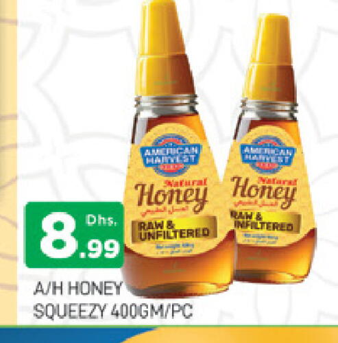 AMERICAN HARVEST Honey available at AL MADINA (Dubai) in UAE - Dubai