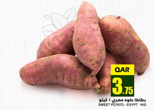  Sweet Potato  in قصر الأغذية هايبرماركت in قطر - الدوحة