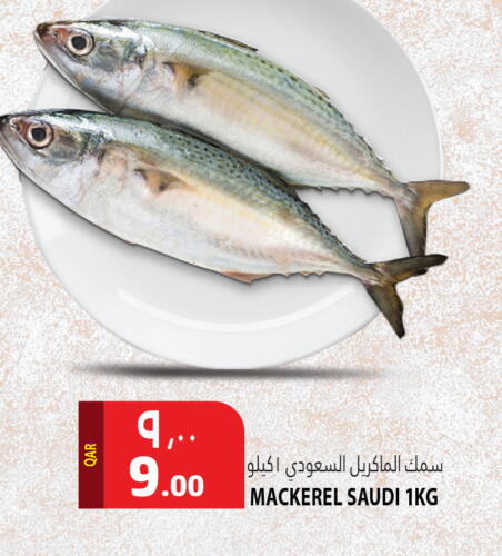 available at Marza Hypermarket in Qatar - Doha