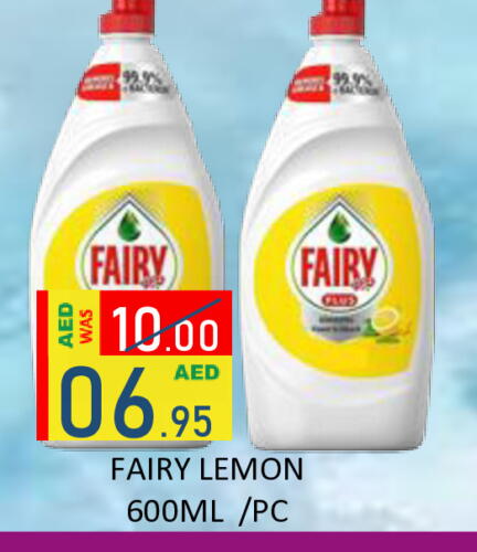 FAIRY Dishwasher available at ROYAL GULF HYPERMARKET LLC in UAE - Abu Dhabi