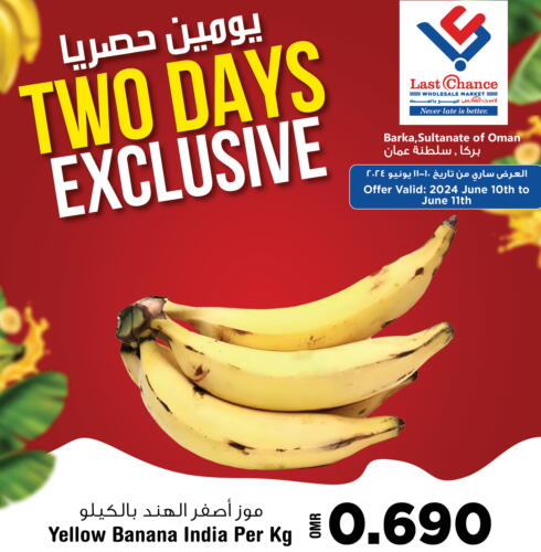  Banana  in Last Chance in Oman - Muscat