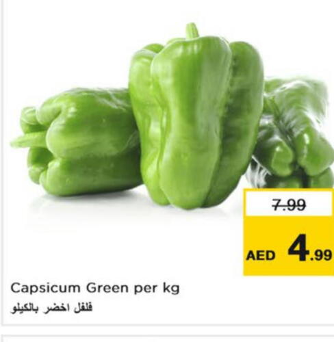  Chilli / Capsicum  in نستو هايبرماركت in الإمارات العربية المتحدة , الامارات - رَأْس ٱلْخَيْمَة