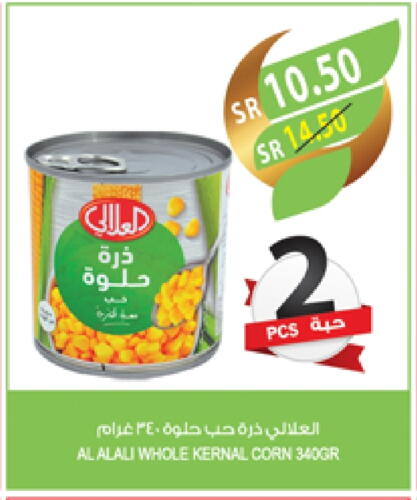 AL ALALI available at Farm  in KSA, Saudi Arabia, Saudi - Jubail