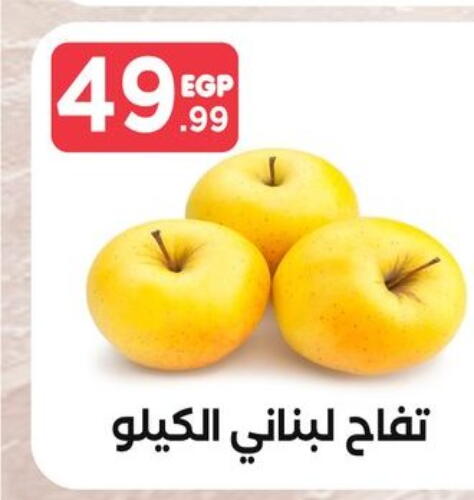  Apples  in المحلاوي ستورز in Egypt - القاهرة