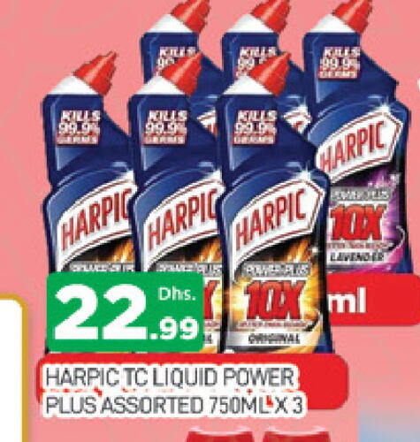 HARPIC Toilet / Drain Cleaner available at AL MADINA (Dubai) in UAE - Dubai