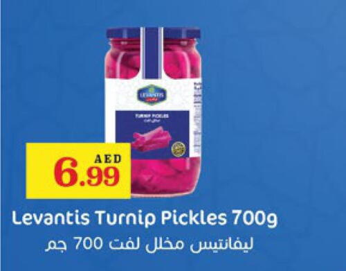  Pickle  in Trolleys Supermarket in UAE - Dubai