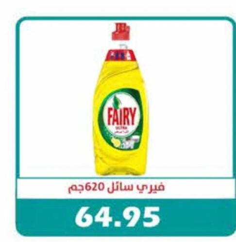 FAIRY   in رويال هاوس in Egypt - القاهرة