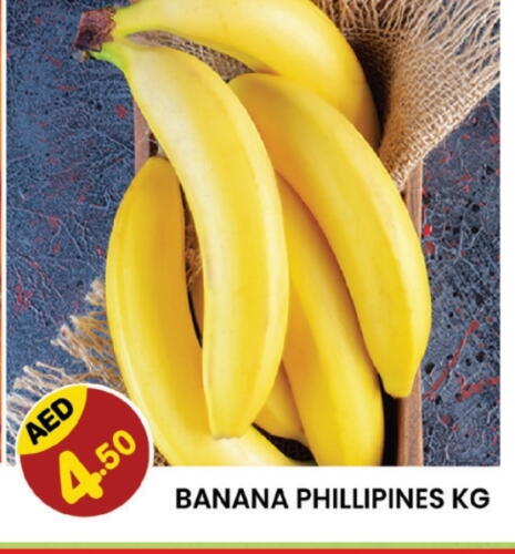  Banana  in Fresh Spike Supermarket in UAE - Dubai