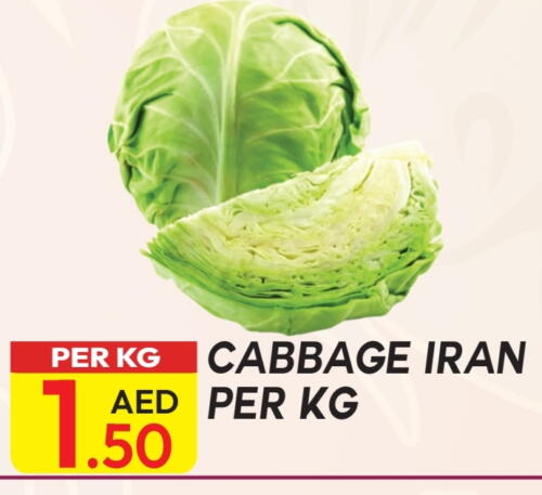 Cabbage from Iran available at Dream Land in UAE - Dubai