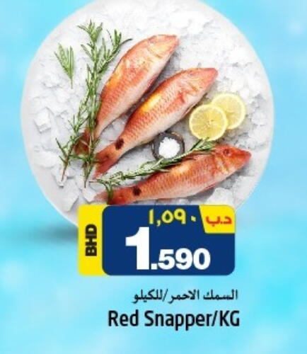 available at نستو in البحرين
