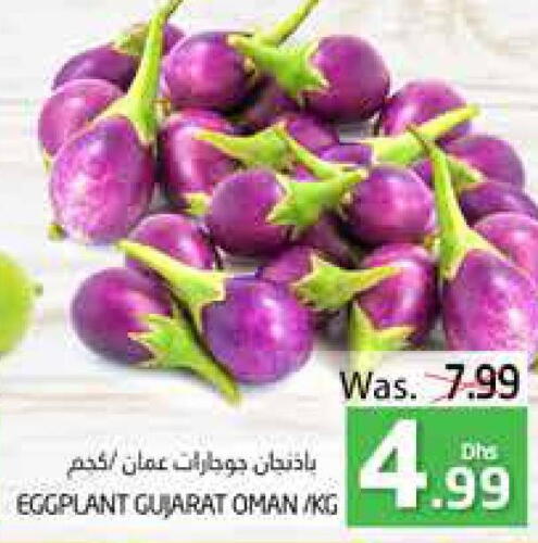 Carrot  in مجموعة باسونس in الإمارات العربية المتحدة , الامارات - ٱلْعَيْن‎