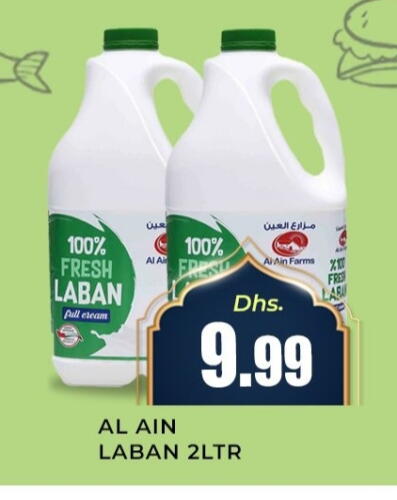 AL AIN Laban available at Meena Al Madina Hypermarket  in UAE - Sharjah / Ajman