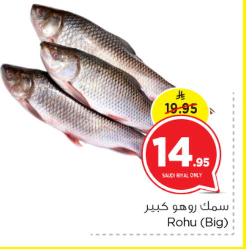 available at نستو in مملكة العربية السعودية, السعودية, سعودية - الرياض