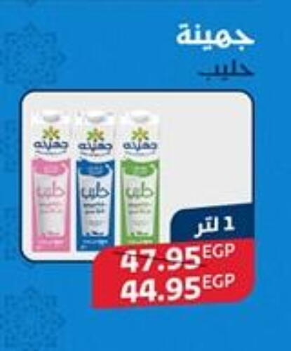 available at اكسبشن ماركت in Egypt - القاهرة