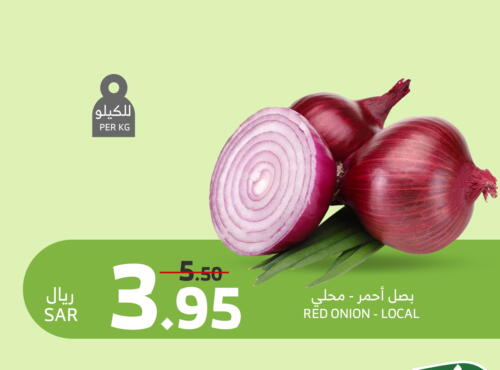 Onion available at الراية in مملكة العربية السعودية, السعودية, سعودية - أبها