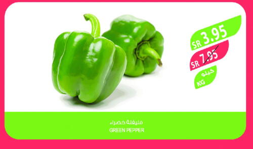 Chilli / Capsicum available at Farm  in KSA, Saudi Arabia, Saudi - Jeddah