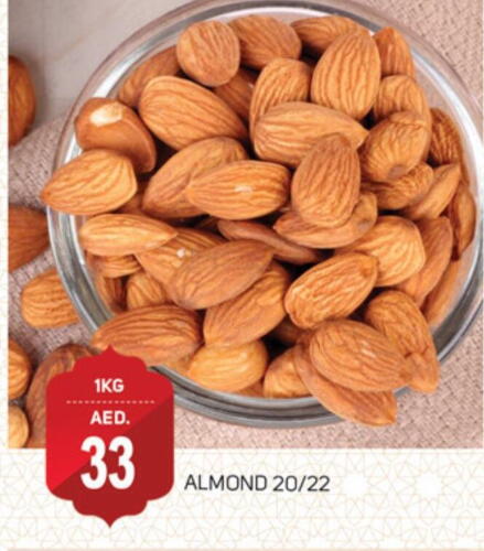 available at TALAL MARKET in UAE - Dubai