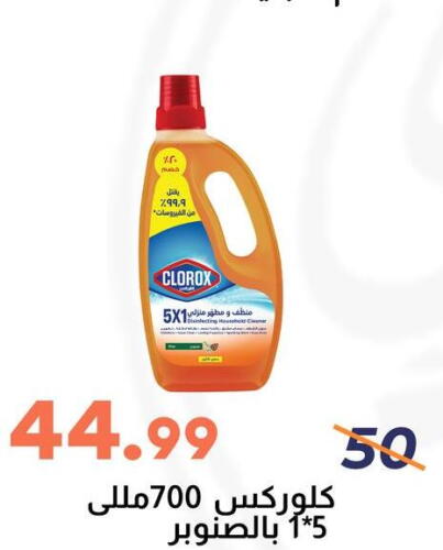 CLOROX General Cleaner  in Ghallab Market in Egypt - Cairo