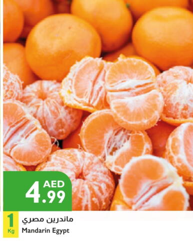 برتقال from Egypt available at إسطنبول سوبرماركت in الإمارات العربية المتحدة , الامارات - ٱلْعَيْن‎