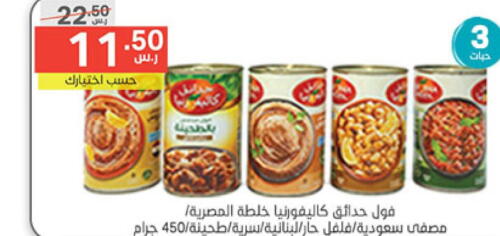 CALIFORNIA GARDEN Spices  in Noori Supermarket in KSA, Saudi Arabia, Saudi - Jeddah