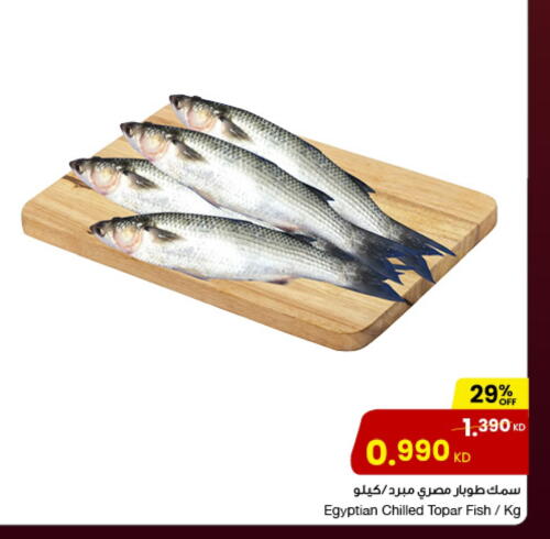 available at مركز سلطان in الكويت - محافظة الأحمدي