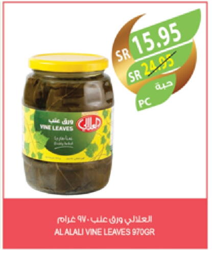 AL ALALI available at Farm  in KSA, Saudi Arabia, Saudi - Jubail