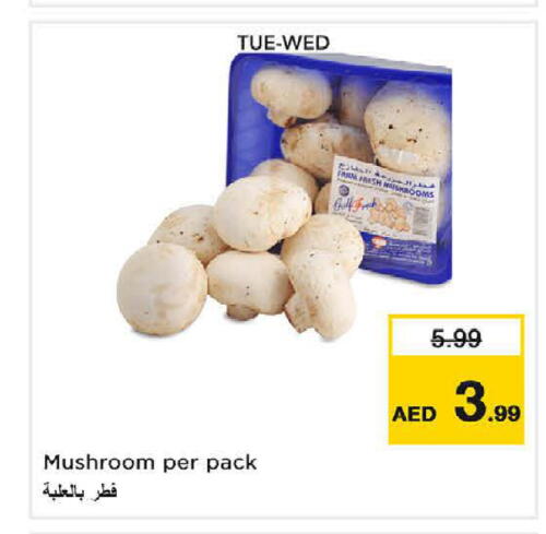  Mushroom  in نستو هايبرماركت in الإمارات العربية المتحدة , الامارات - الشارقة / عجمان