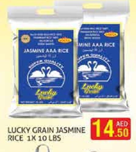 Jasmine Rice available at Palm Centre LLC in UAE - Sharjah / Ajman