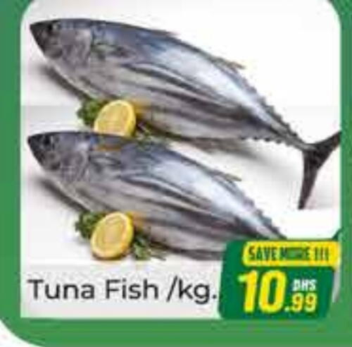 Tuna available at FOODZONE SUPERMARKET in UAE - Dubai