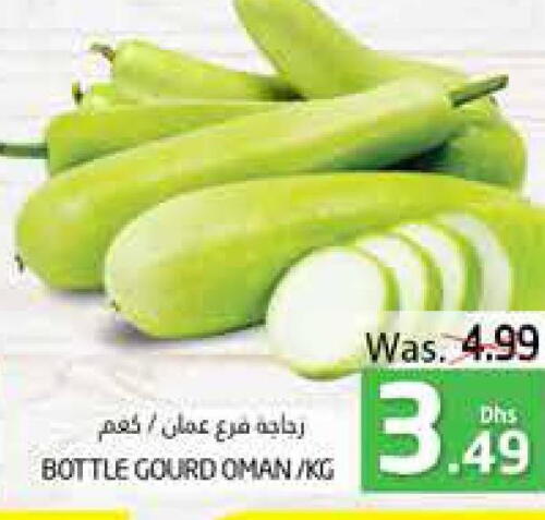  Gourd  in مجموعة باسونس in الإمارات العربية المتحدة , الامارات - ٱلْعَيْن‎