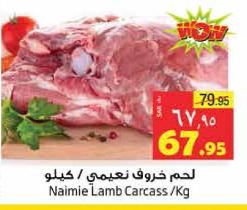  Mutton / Lamb  in Layan Hyper in KSA, Saudi Arabia, Saudi - Dammam