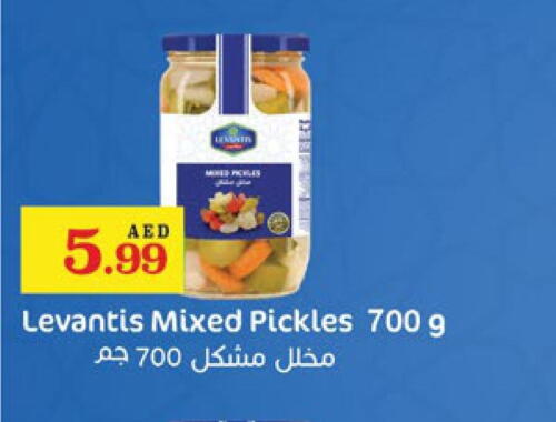  Pickle  in Trolleys Supermarket in UAE - Dubai