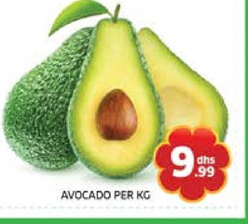 Avacado available at Seven Emirates Supermarket in UAE - Abu Dhabi