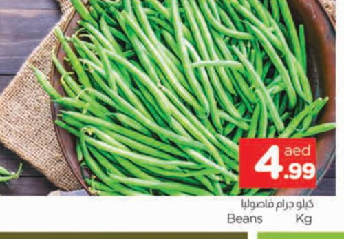 Beans available at AL MADINA in UAE - Sharjah / Ajman