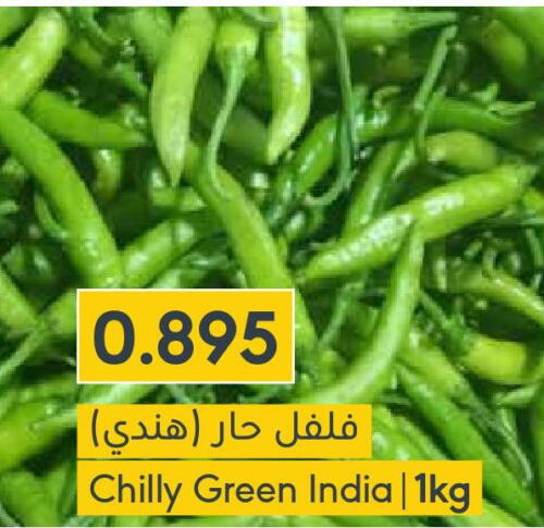  Chilli / Capsicum  in Muntaza in Bahrain